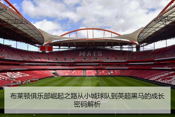 布莱顿俱乐部崛起之路从小城球队到英超黑马的成长密码解析
