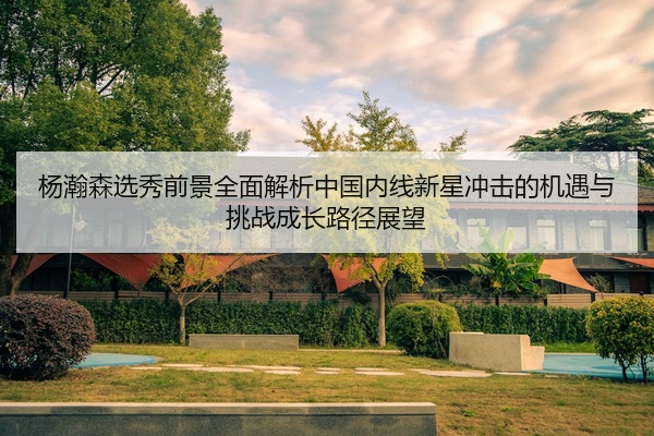 杨瀚森选秀前景全面解析中国内线新星冲击的机遇与挑战成长路径展望