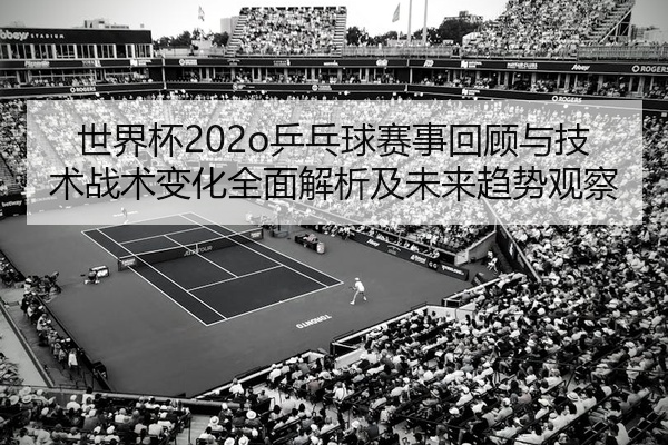 世界杯202o乒乓球赛事回顾与技术战术变化全面解析及未来趋势观察
