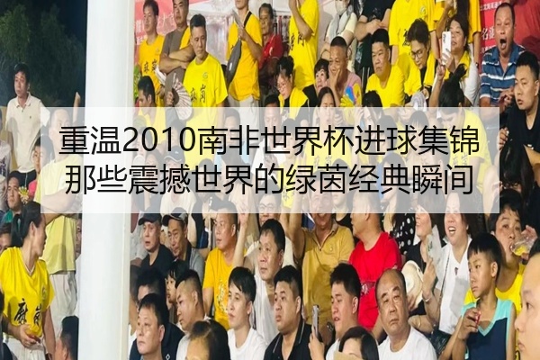 重温2010南非世界杯进球集锦那些震撼世界的绿茵经典瞬间