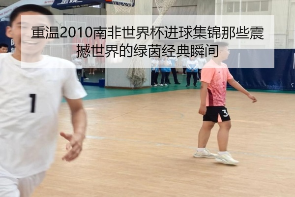 重温2010南非世界杯进球集锦那些震撼世界的绿茵经典瞬间