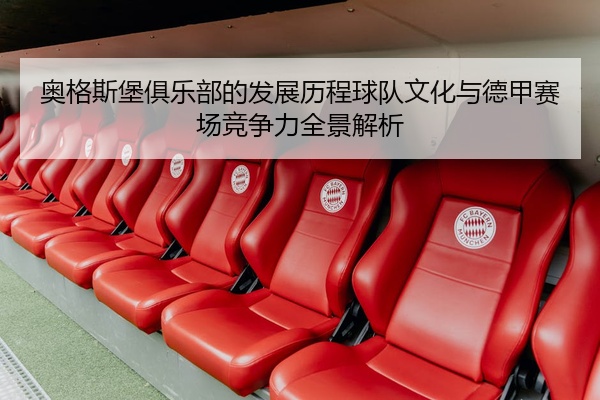 奥格斯堡俱乐部的发展历程球队文化与德甲赛场竞争力全景解析