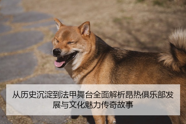 从历史沉淀到法甲舞台全面解析昂热俱乐部发展与文化魅力传奇故事